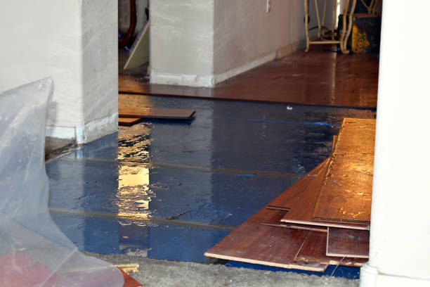 Professional Burst Pipe Cleanup technician working in Mark Center, OH